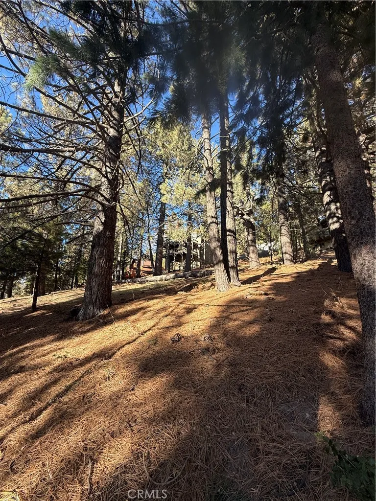 Poplar Running Springs, CA 92382