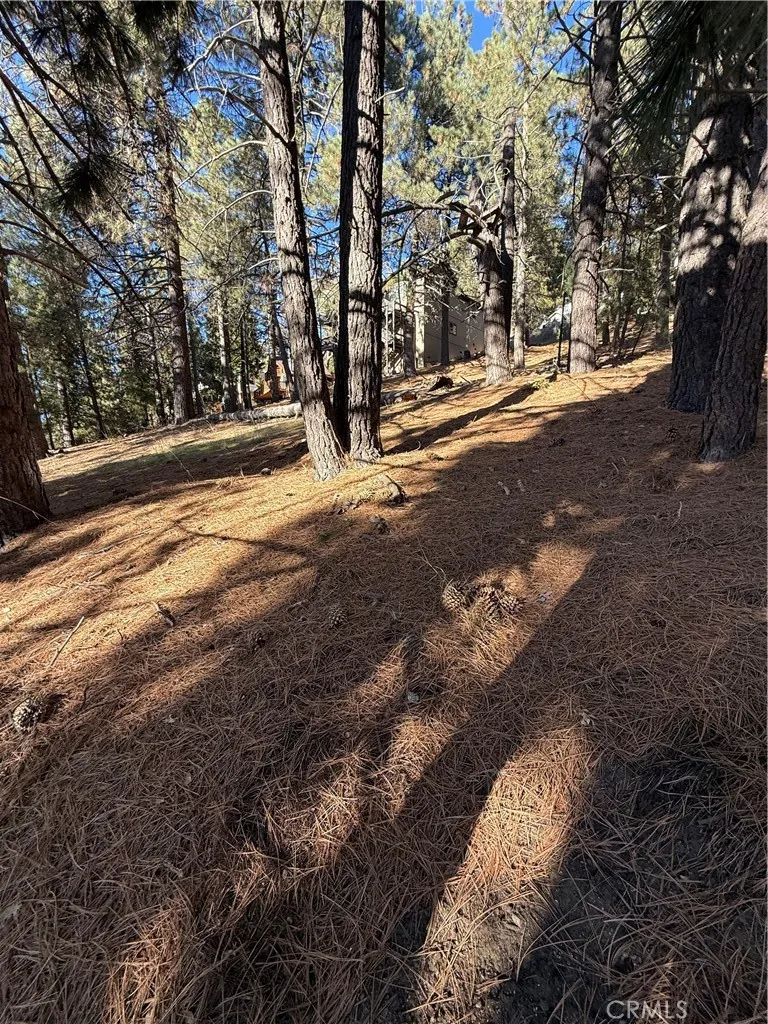 Poplar Running Springs, CA 92382
