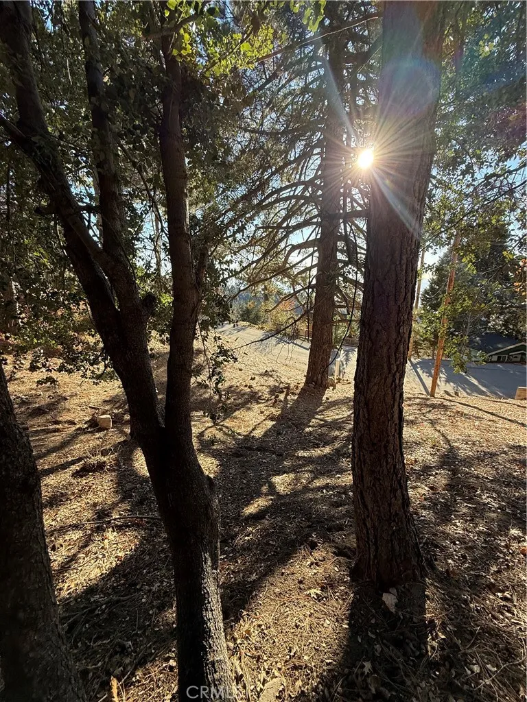 Poplar Running Springs, CA 92382
