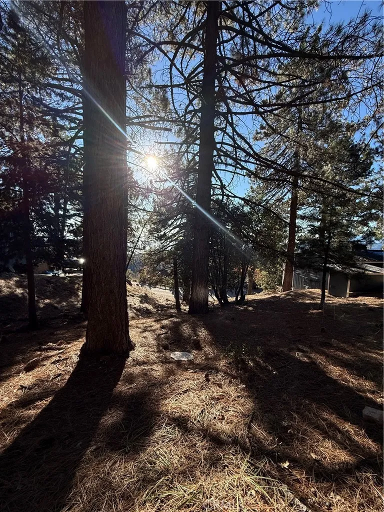 Poplar Running Springs, CA 92382