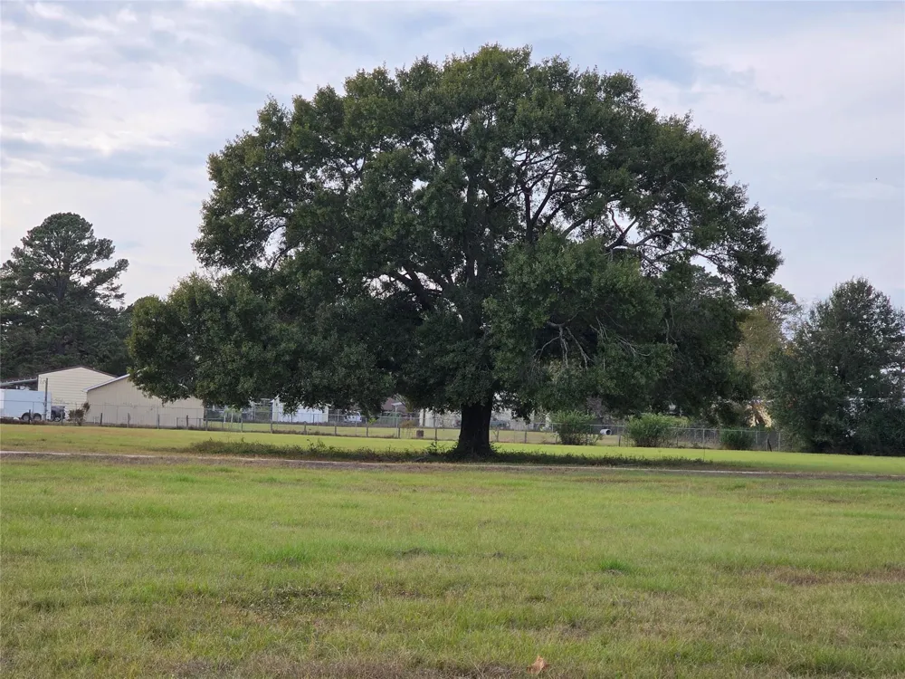 27303 Decker Prairie Rosehill Road Magnolia, TX 77355