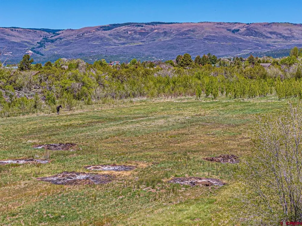 794 NE Indian Camp Avenue Cedaredge, CO 81413