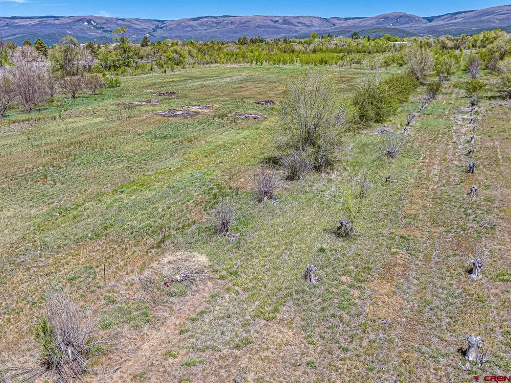794 NE Indian Camp Avenue Cedaredge, CO 81413