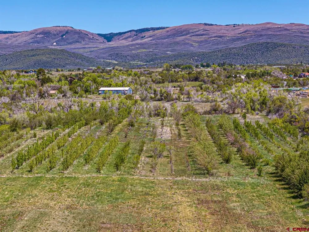 794 NE Indian Camp Avenue Cedaredge, CO 81413