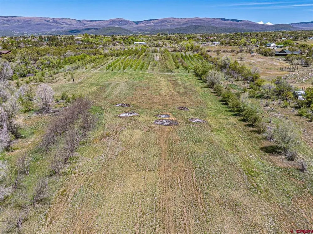 794 NE Indian Camp Avenue Cedaredge, CO 81413