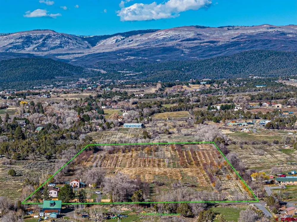 794 NE Indian Camp Avenue Cedaredge, CO 81413