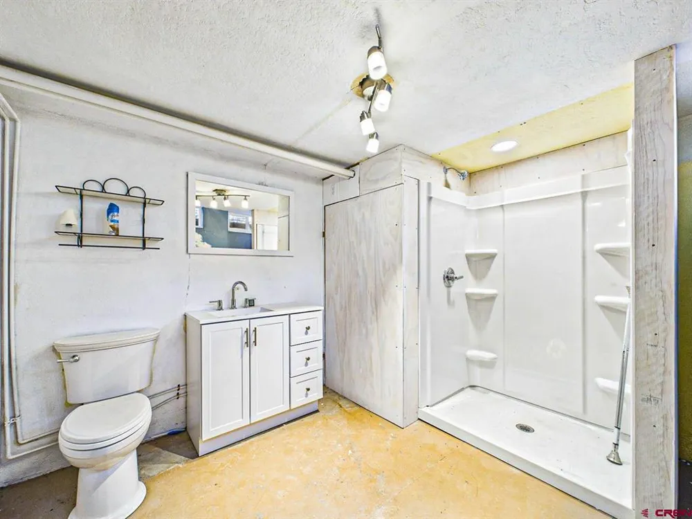 794 NE Indian Camp Avenue Cedaredge, CO 81413