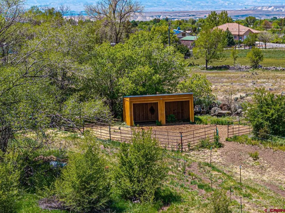 794 NE Indian Camp Avenue Cedaredge, CO 81413