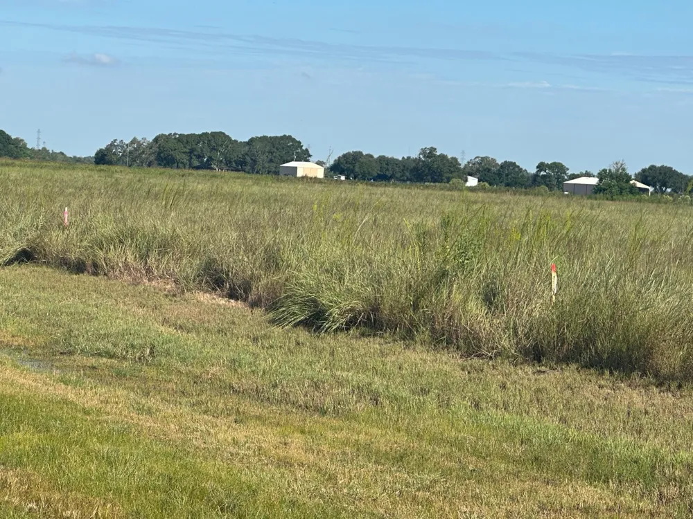 Highway 36 S Expressway S Guy, TX 77444