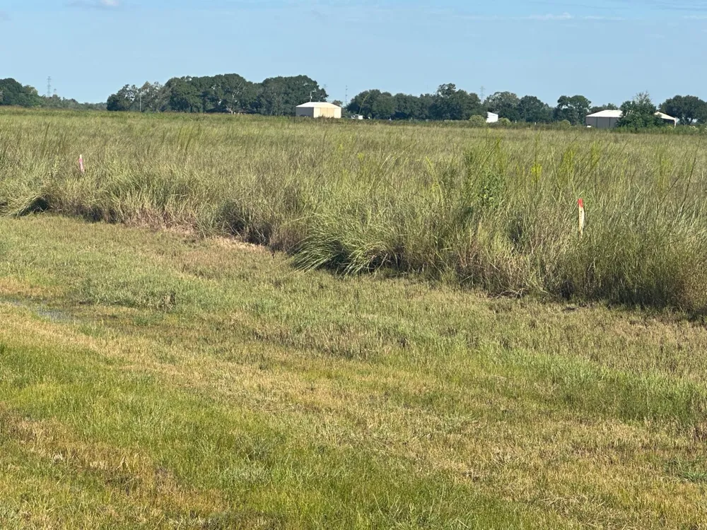 Highway 36 S Expressway S Guy, TX 77444