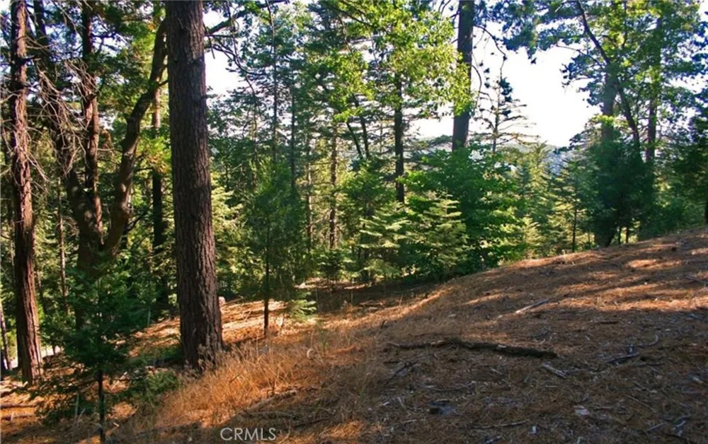 525 Ca-173 Lake Arrowhead, CA 92352