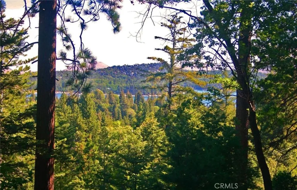 525 Ca-173 Lake Arrowhead, CA 92352