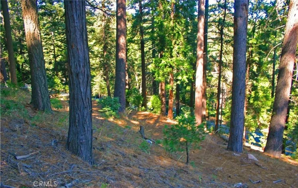 525 Ca-173 Lake Arrowhead, CA 92352