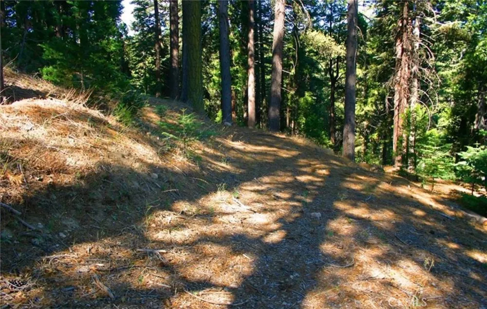 525 Ca-173 Lake Arrowhead, CA 92352