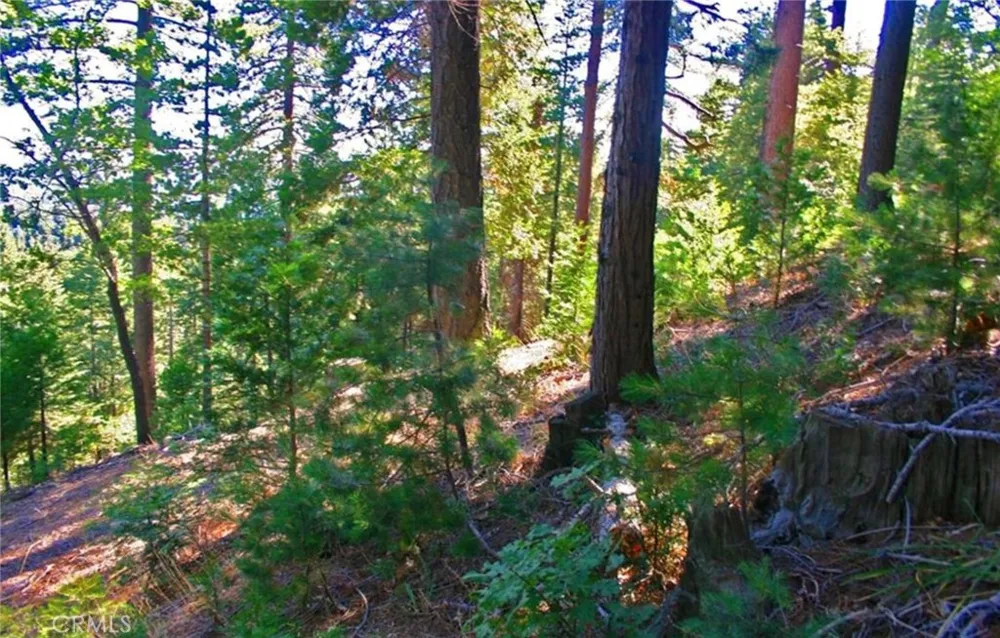 525 Ca-173 Lake Arrowhead, CA 92352