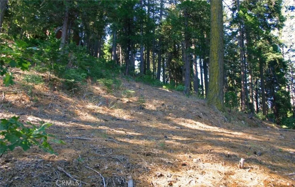 525 Ca-173 Lake Arrowhead, CA 92352