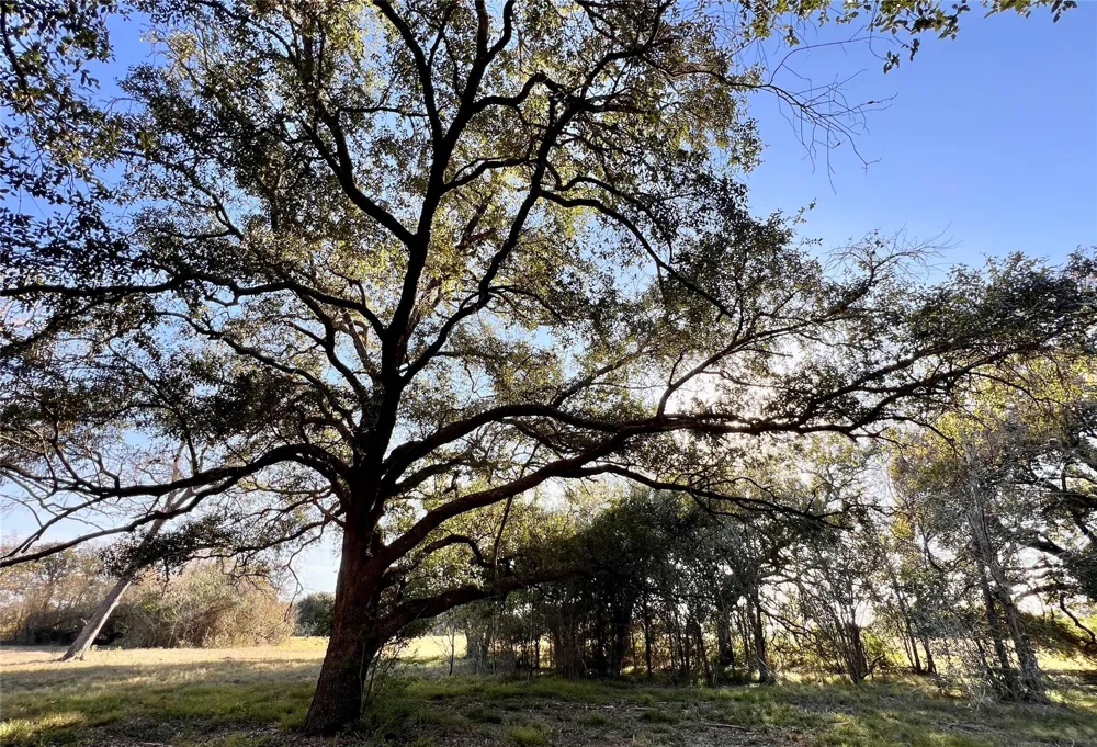 3 County Road 137 Caldwell, TX 77836