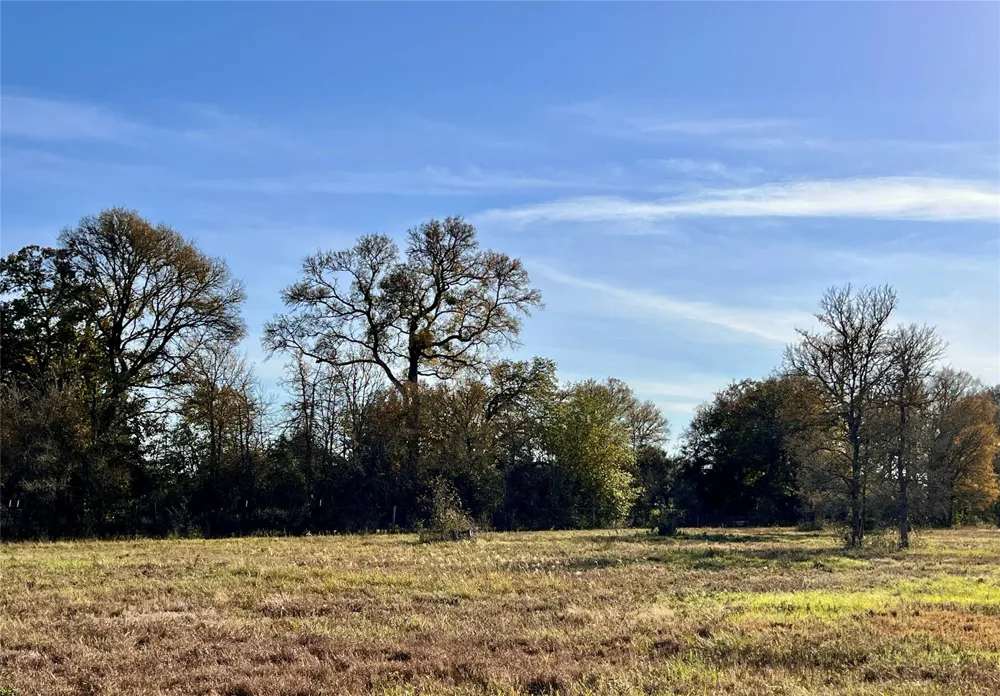 3 County Road 137 Caldwell, TX 77836