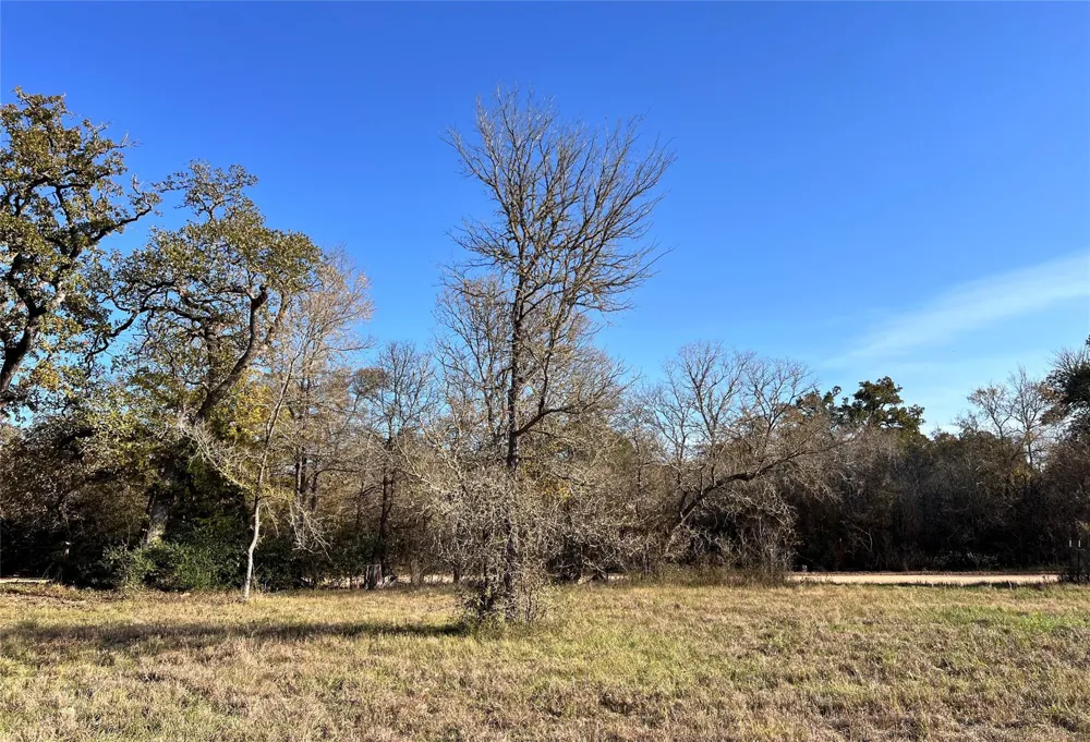 3 County Road 137 Caldwell, TX 77836