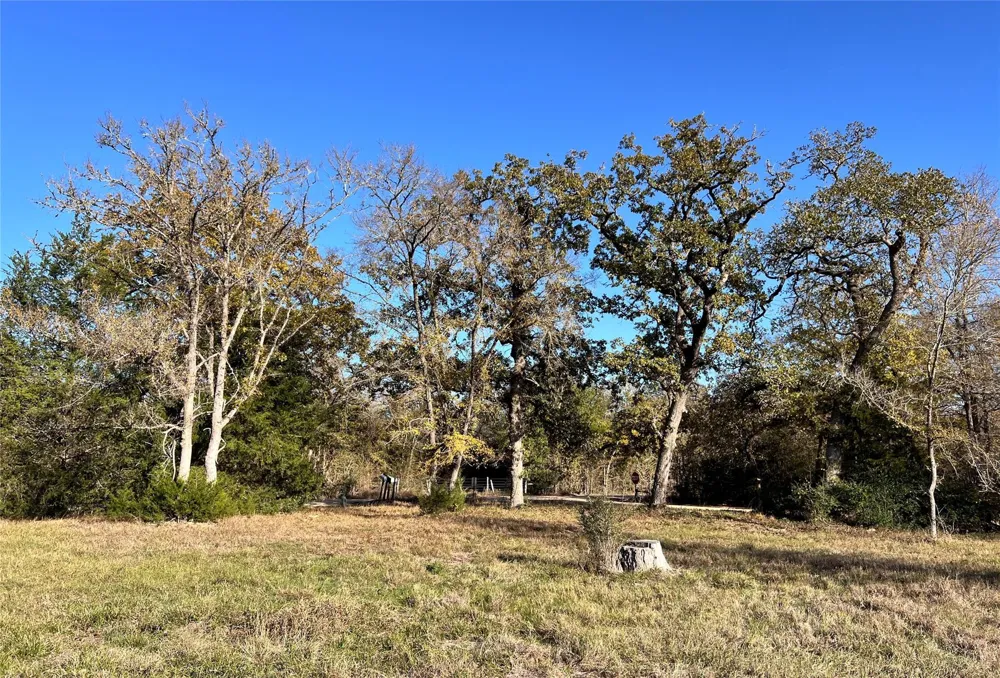 3 County Road 137 Caldwell, TX 77836