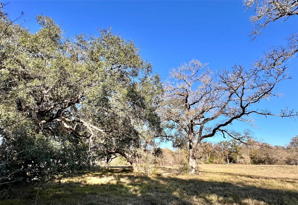 3 County Road 137 Caldwell, TX 77836
