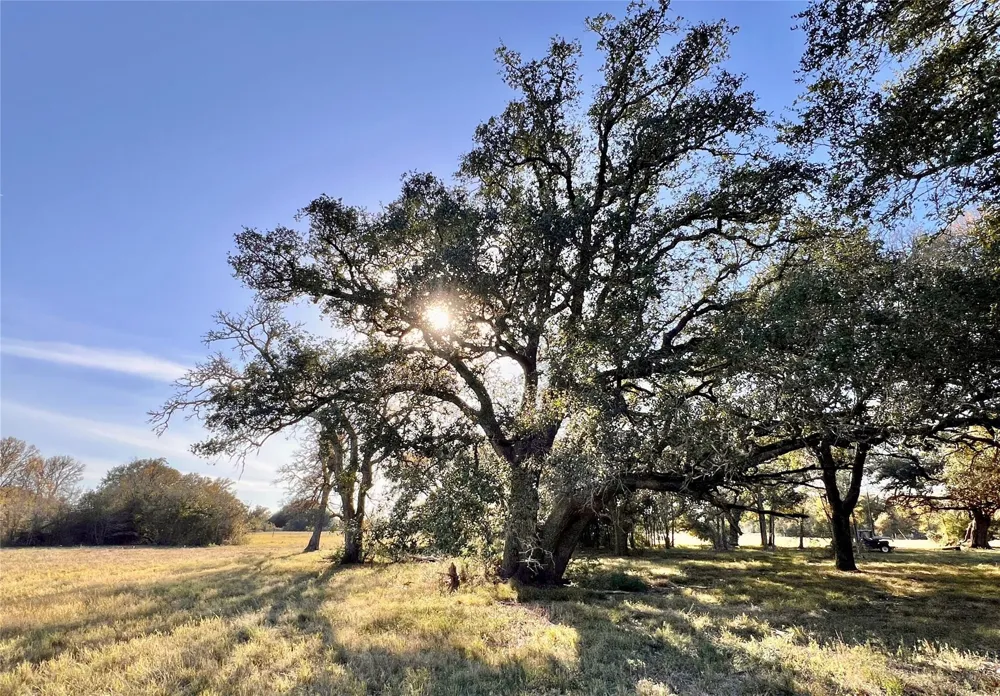 3 County Road 137 Caldwell, TX 77836