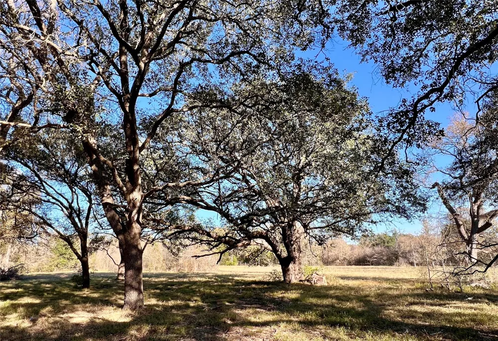 3 County Road 137 Caldwell, TX 77836