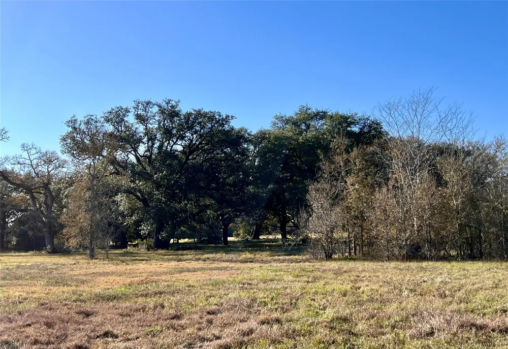 3 County Road 137 Caldwell, TX 77836