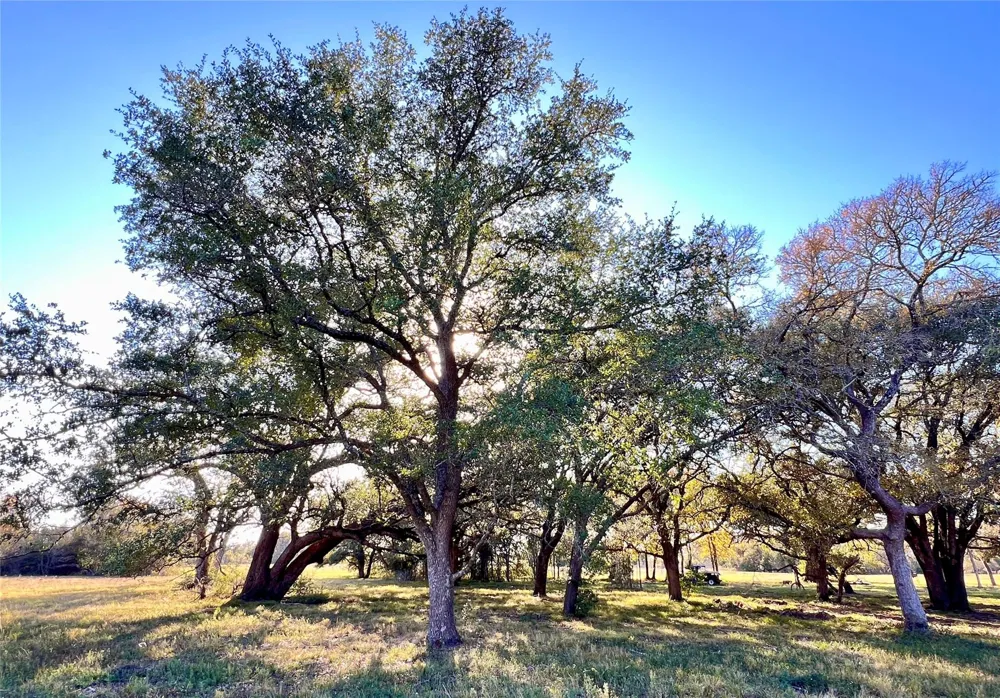 3 County Road 137 Caldwell, TX 77836