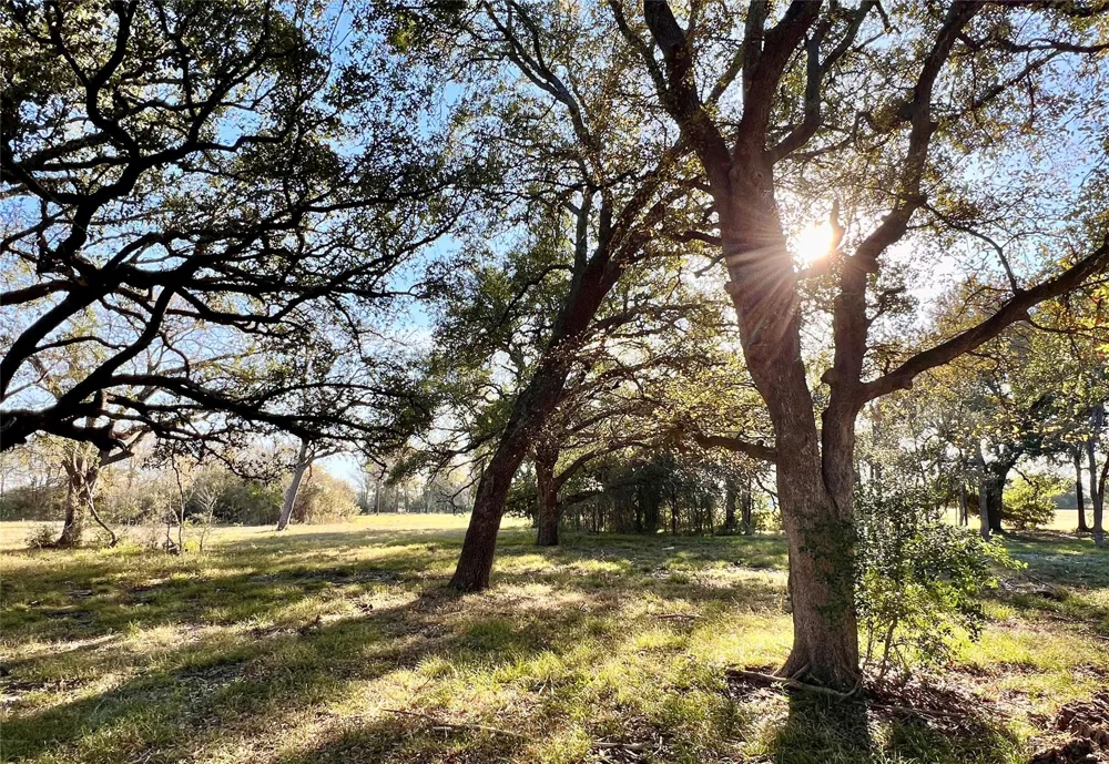3 County Road 137 Caldwell, TX 77836