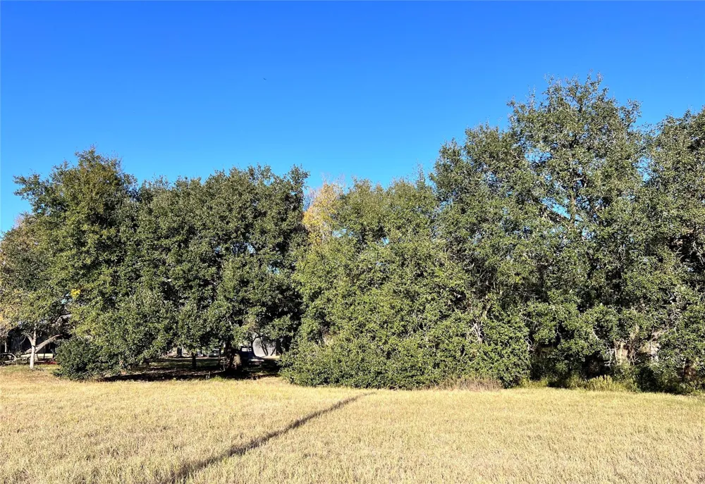 3 County Road 137 Caldwell, TX 77836