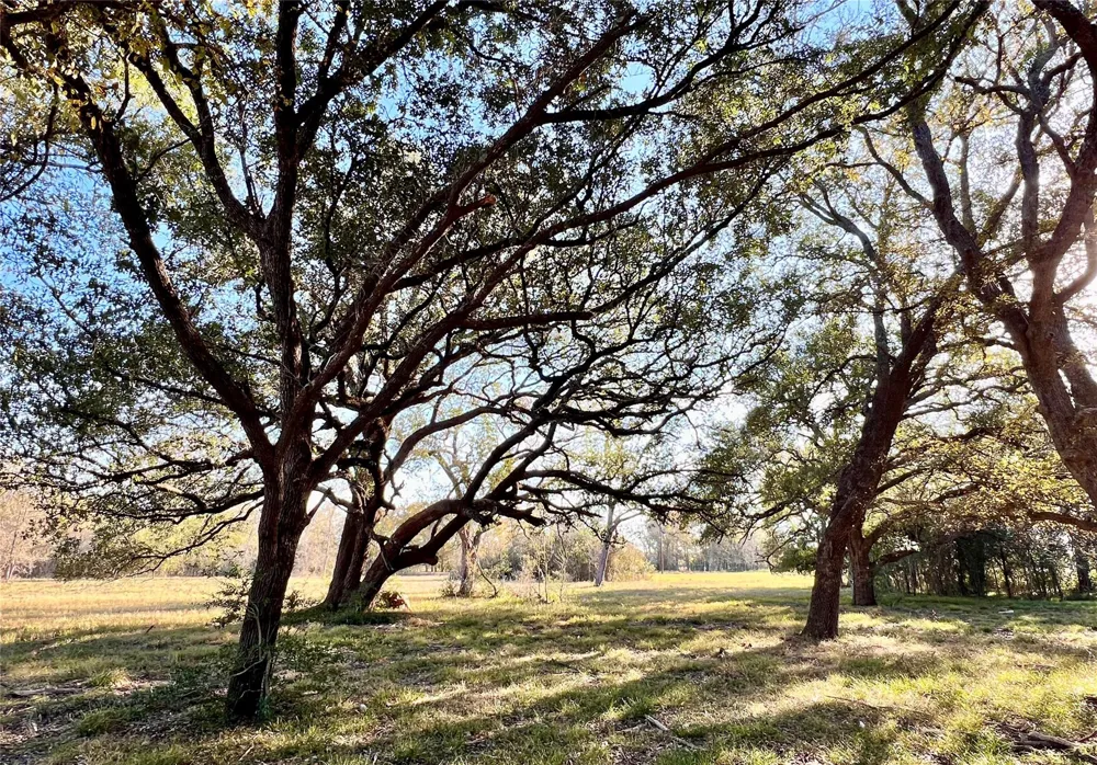 3 County Road 137 Caldwell, TX 77836