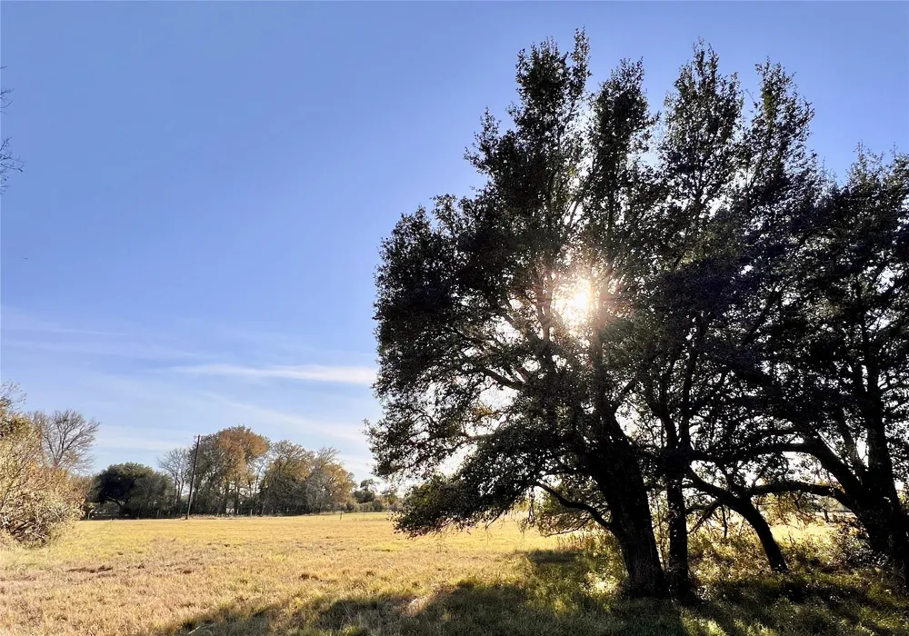 3 County Road 137 Caldwell, TX 77836