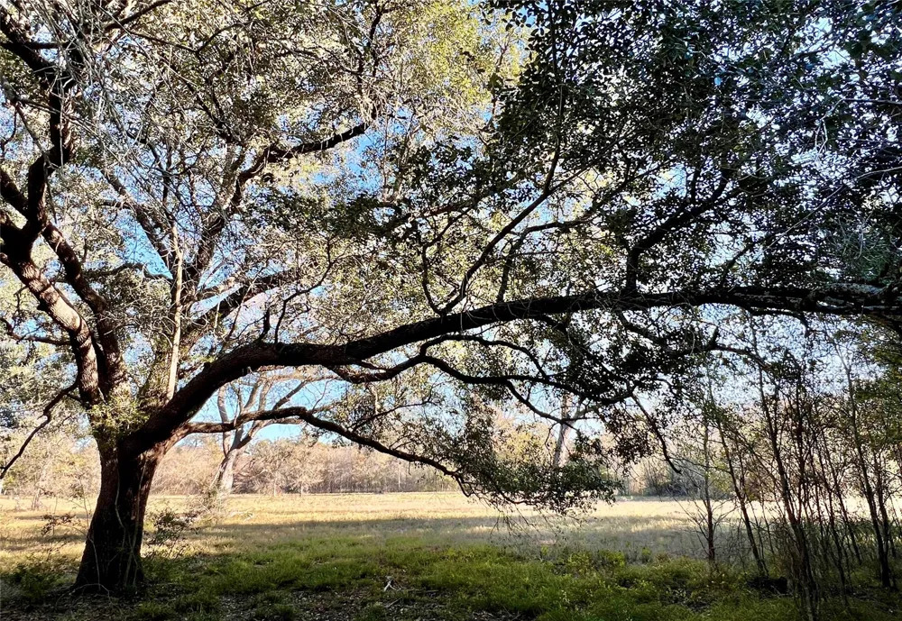 3 County Road 137 Caldwell, TX 77836