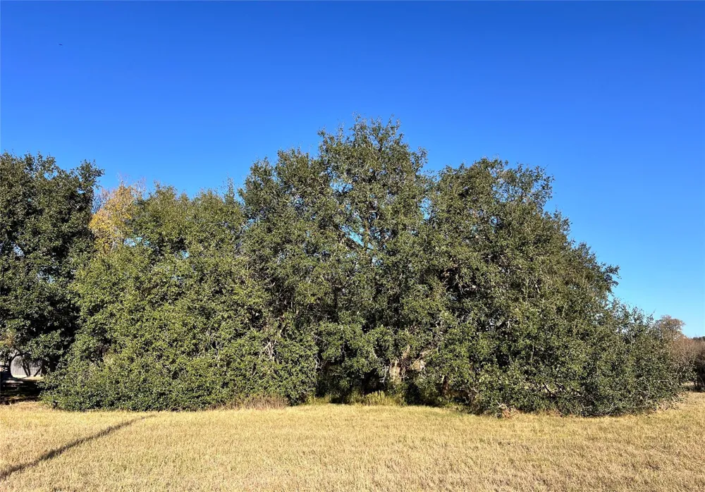 3 County Road 137 Caldwell, TX 77836