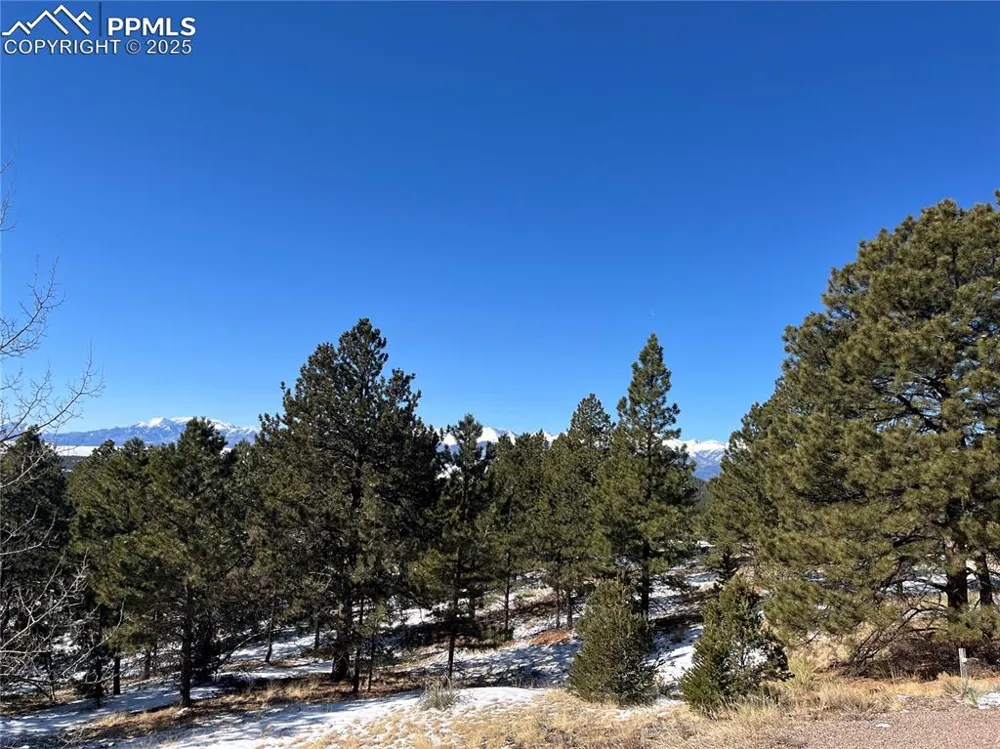 1234 Edelweiss Drive Westcliffe, CO 81252