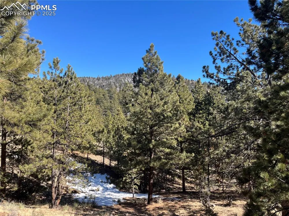 1234 Edelweiss Drive Westcliffe, CO 81252