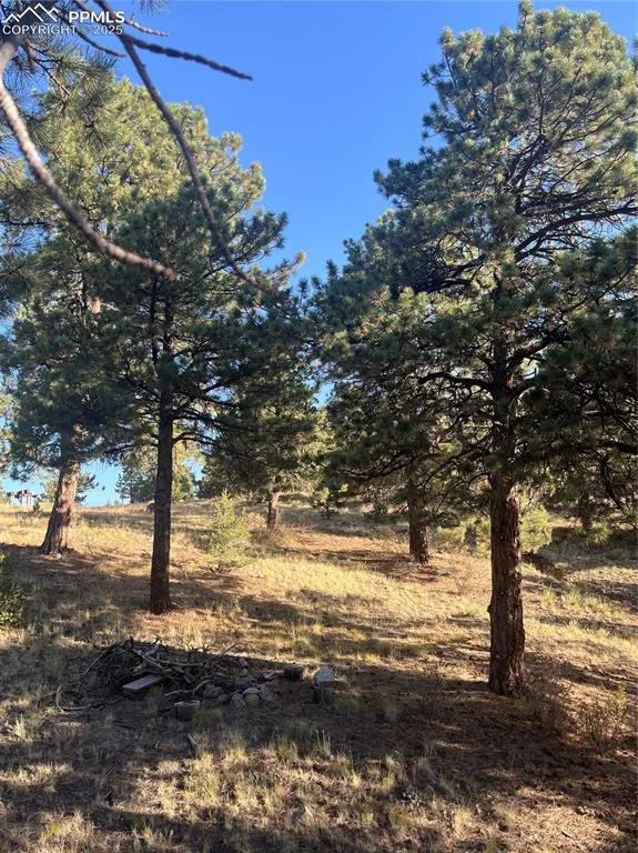 1234 Edelweiss Drive Westcliffe, CO 81252