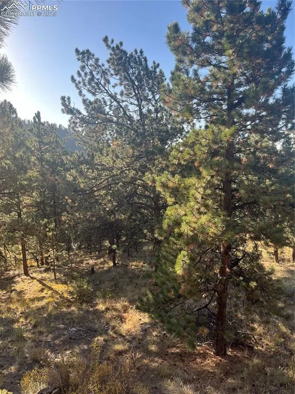 1234 Edelweiss Drive Westcliffe, CO 81252