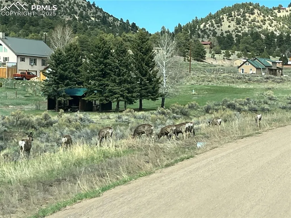 1234 Edelweiss Drive Westcliffe, CO 81252