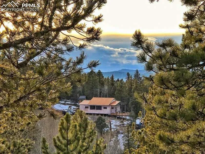 1434 Blue Mesa Drive Divide, CO 80814