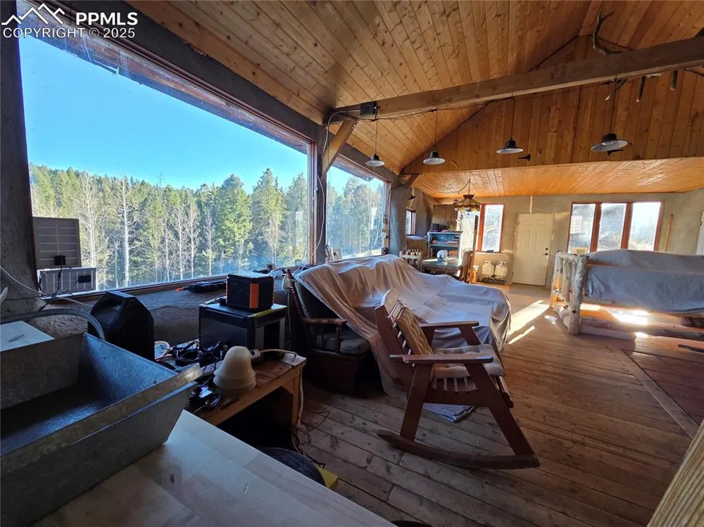 1434 Blue Mesa Drive Divide, CO 80814