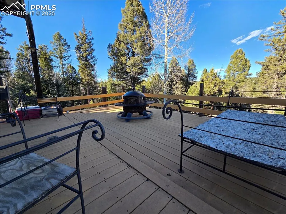 1434 Blue Mesa Drive Divide, CO 80814