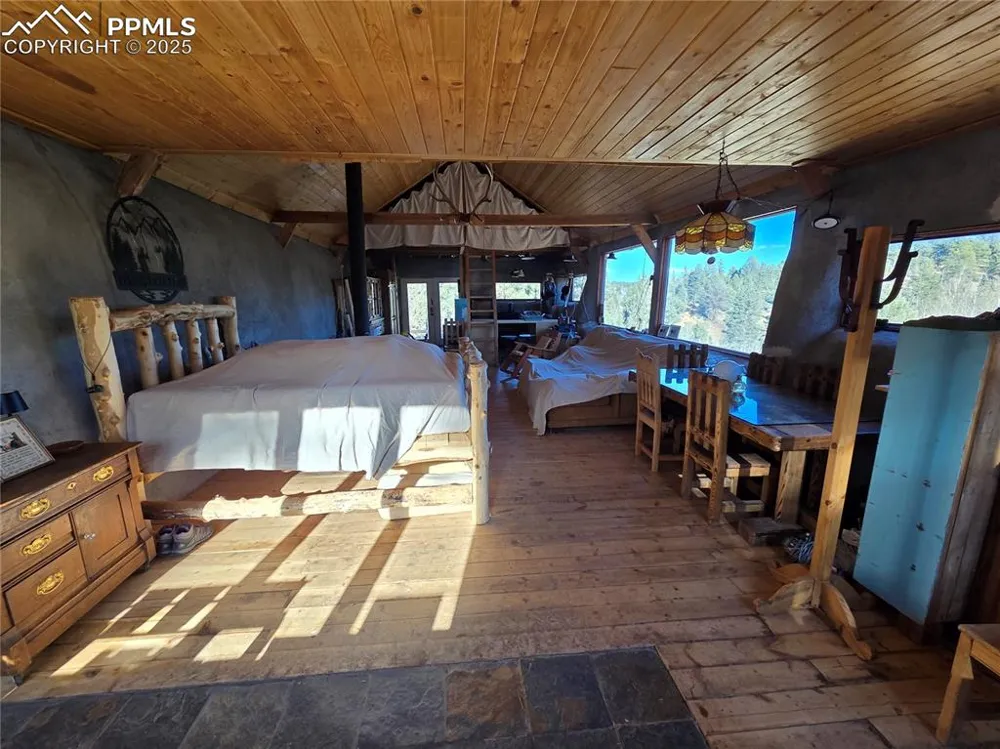 1434 Blue Mesa Drive Divide, CO 80814