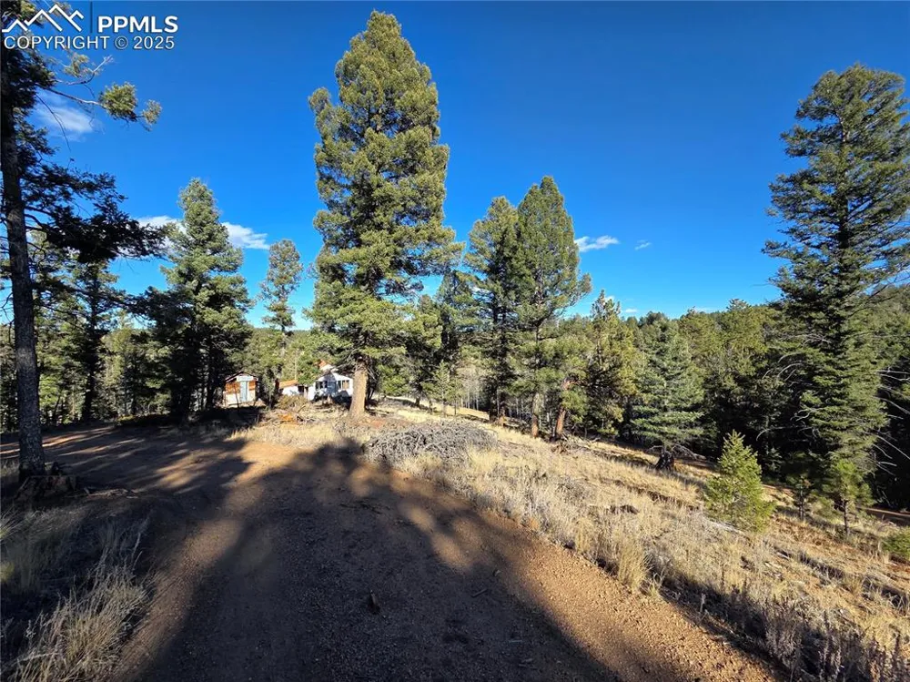 1434 Blue Mesa Drive Divide, CO 80814