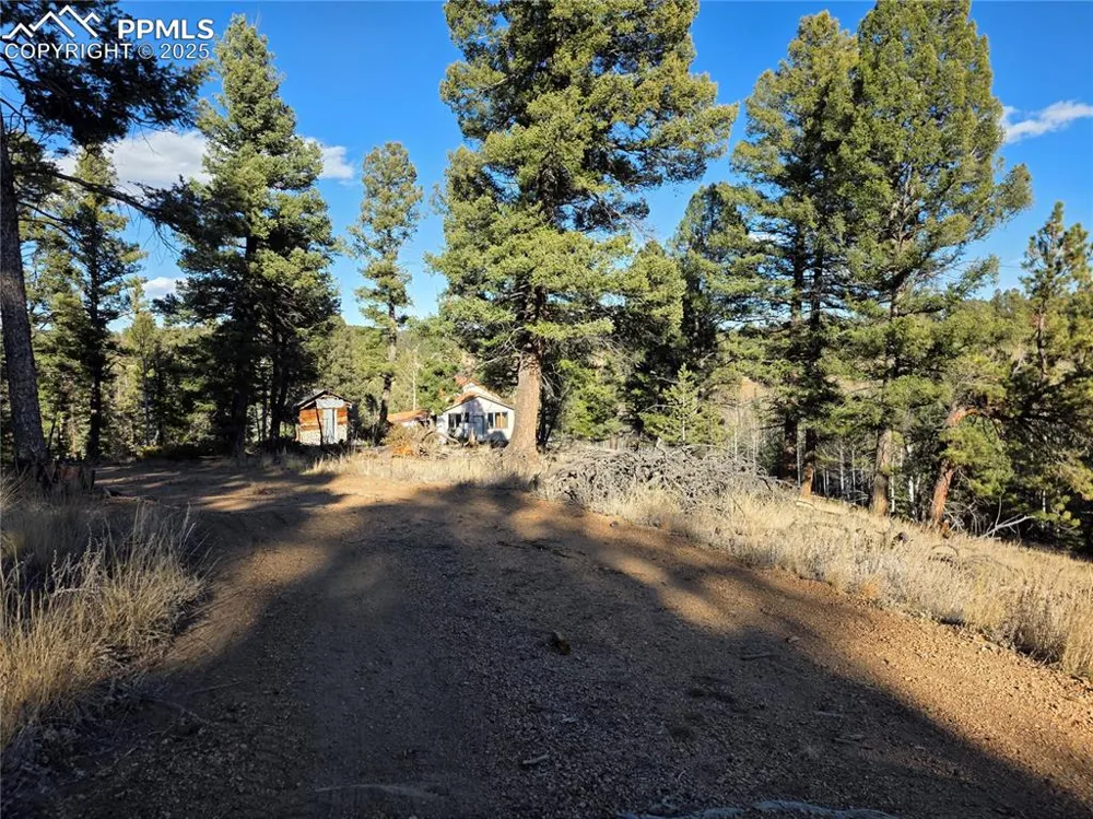 1434 Blue Mesa Drive Divide, CO 80814