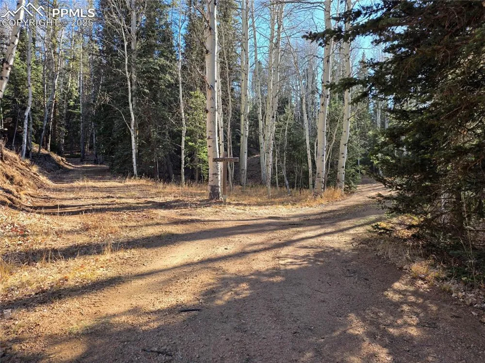 1434 Blue Mesa Drive Divide, CO 80814