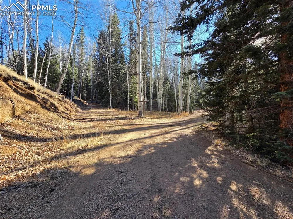 1434 Blue Mesa Drive Divide, CO 80814