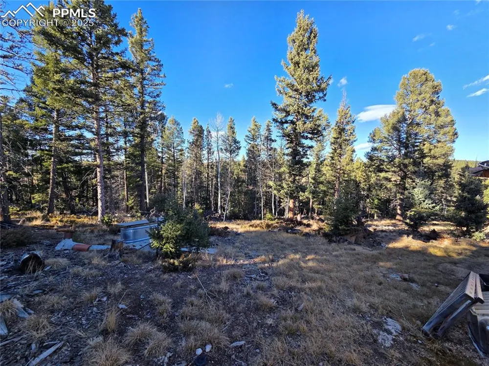 1434 Blue Mesa Drive Divide, CO 80814