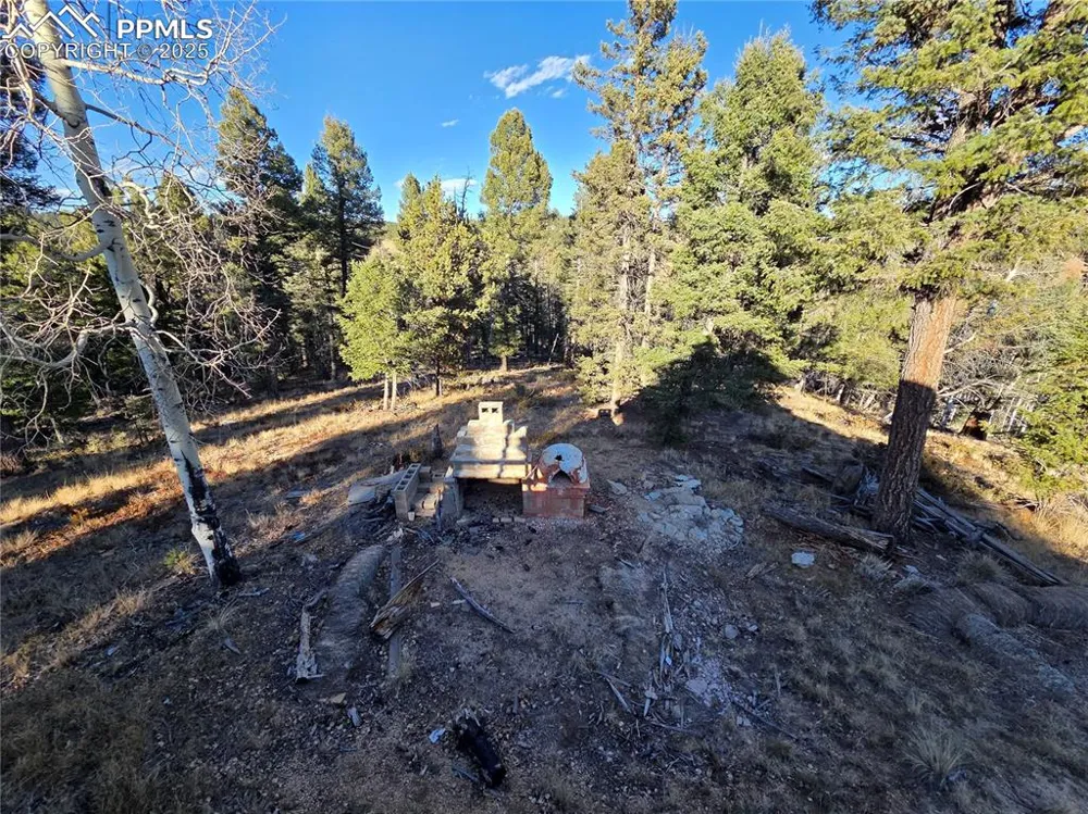 1434 Blue Mesa Drive Divide, CO 80814
